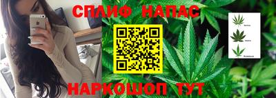 гашик Коммунар